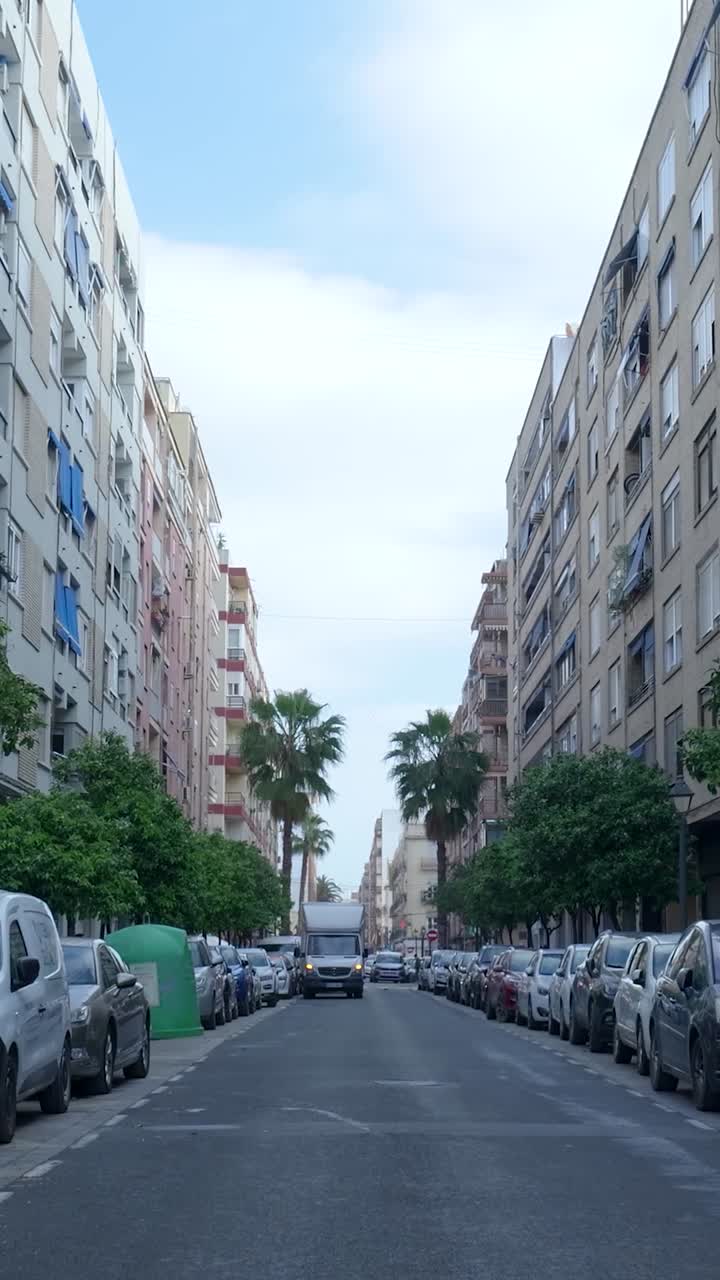 Urban Street Scene with Parking and Palm Trees