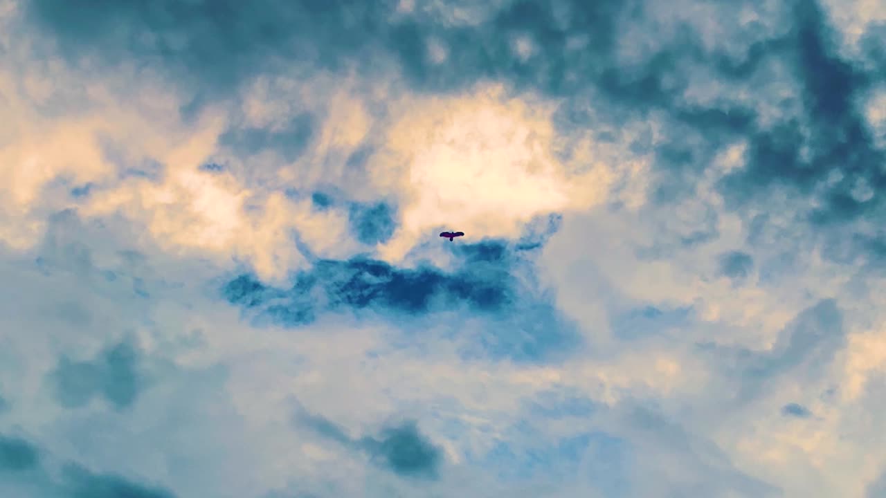 Eagle bird soaring under dramatic cloudscape at dusk in Bangladesh, evoking a peaceful and cinematic mood