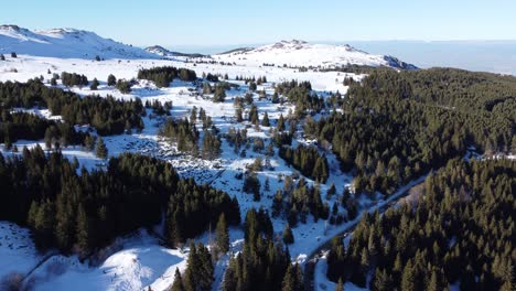 a moving aerial clip of the torfeno branishte nature reserve mountain plateau covered in snow and golden sunlight, vitosha, bulgaria