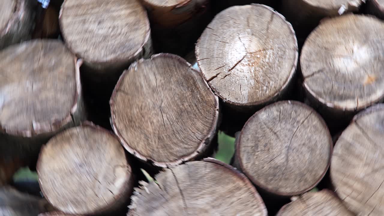 목재의 어리, 목재 저장소, 불타는 나무를 잘라 나무 줄기 줄기를 어 놓고 준비, 카메라의 원형 움직임