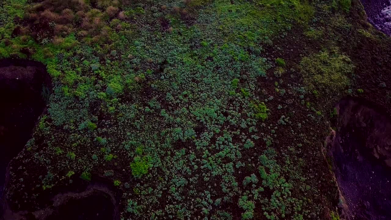 revelación aérea del amanecer de un vehículo recreativo estacionado en la playa en la autopista cabrillo en california