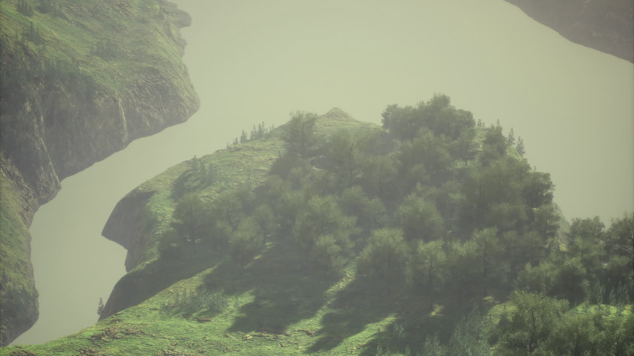 Winding river reveals lush island with captivating greenery under soft light