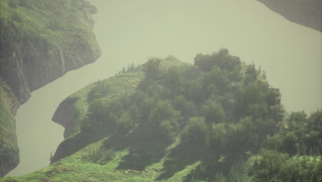winding river reveals lush island with captivating greenery under soft light