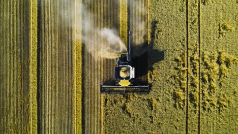 top-down aerial tracking of combine harvester harvesting wheat on farm land