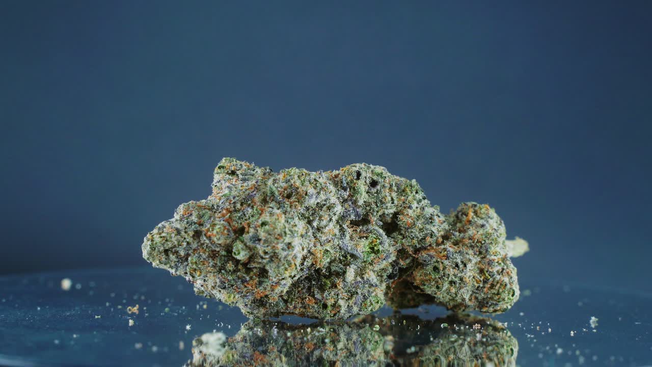 칙칙한 녹색 말린 마리화나 꽃봉오리 - 회전하는 스탠드, 스튜디오 조명, 느린 동작, 4k 비디오