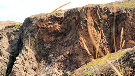 Sheer-rugged-rock-face-background-to-gently-blowing-mountain-grasses