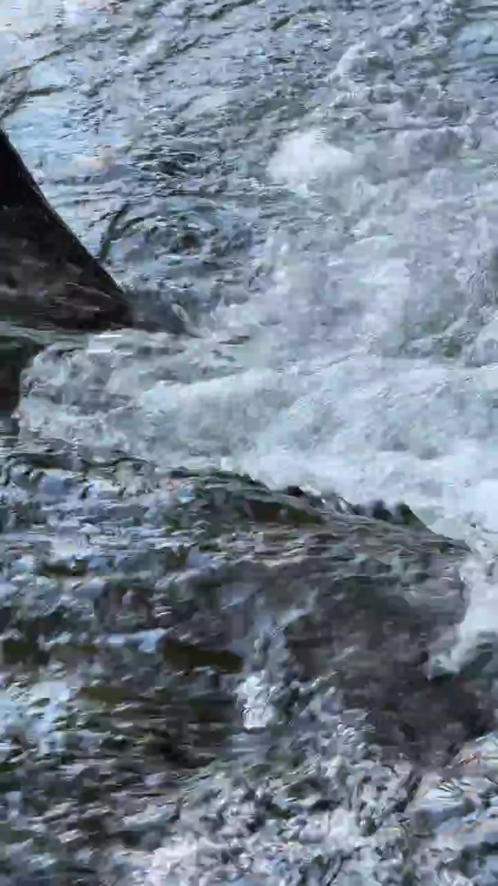 Primo piano di acqua impetuosa che scorre su rocce scure in un ruscello