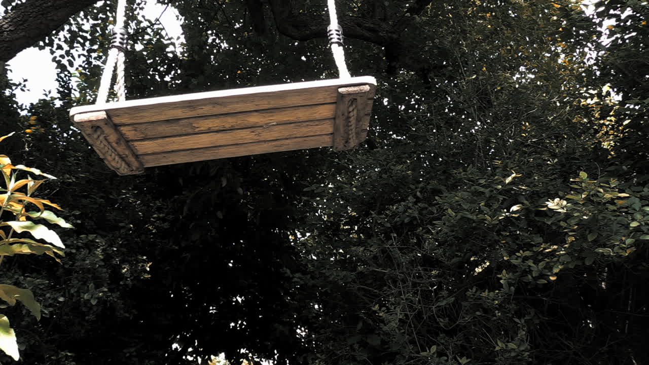mirada soñadora de un columpio de árbol en cámara lenta, ángulo bajo