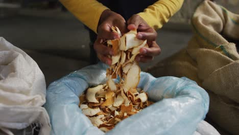 hands of african american woman working at gin distillery inspecting fruit peel ingredient in sack