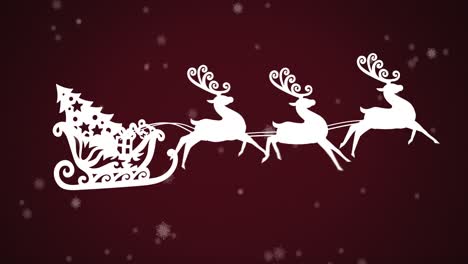 Animation-of-santa-claus-in-sleigh-with-reindeer-over-snow-falling-on-burgundy-background