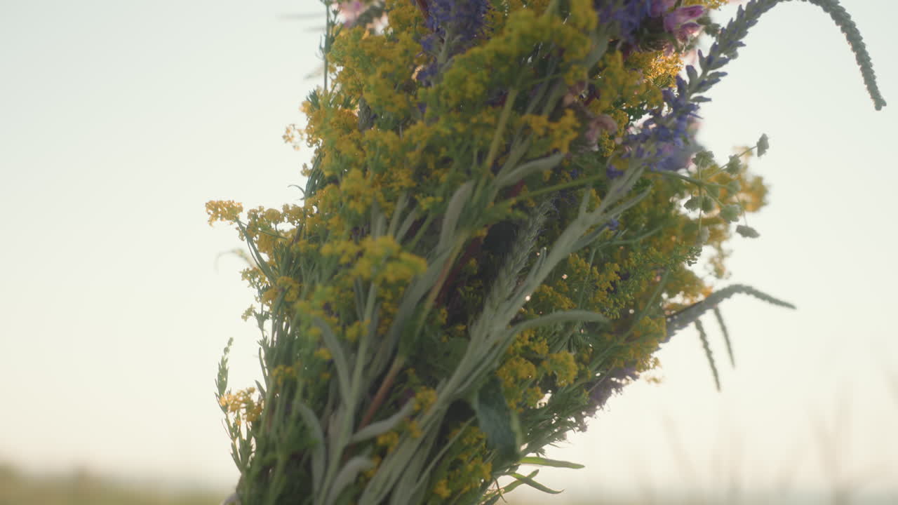 close up of woman hands gripping gathered wildflowers with delicate stems as golden sunlight shines through flowers in summer field evoking peaceful connection with nature and gentle movement