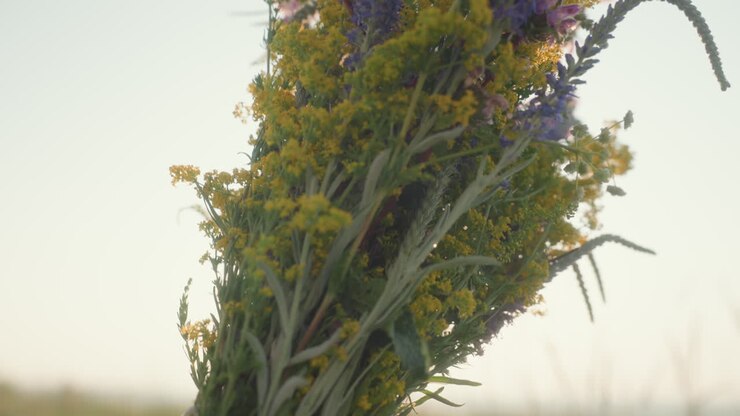 primo piano delle mani di una donna che stringono fiori di campo raccolti con steli delicati mentre la luce solare dorata splende attraverso i fiori in un campo estivo, evocando una connessione pacifica con la natura e un delicato movimento
