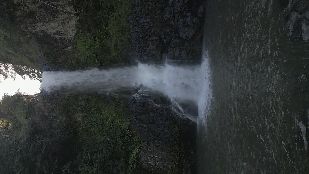 그늘진 정글 협곡, 하와이의  ⁇ 아지는 폭포에 접근하고 있습니다.