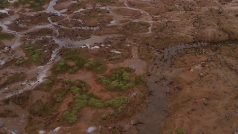 Fascinating-wetland-landscape,-aerial-low-angle