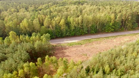 Toma-Aérea-De-Bosque-Y-Carretera