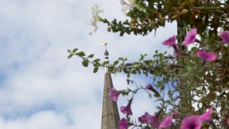 Rack-Focus-Shot-De-Flores-Montadas-En-La-Pared-A-La-Torre-De-La-Iglesia-En-Oxford