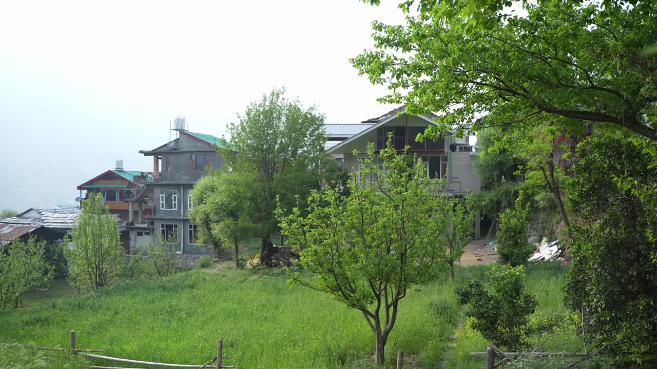 Apples have been cultivated amidst hilly wheat fields.