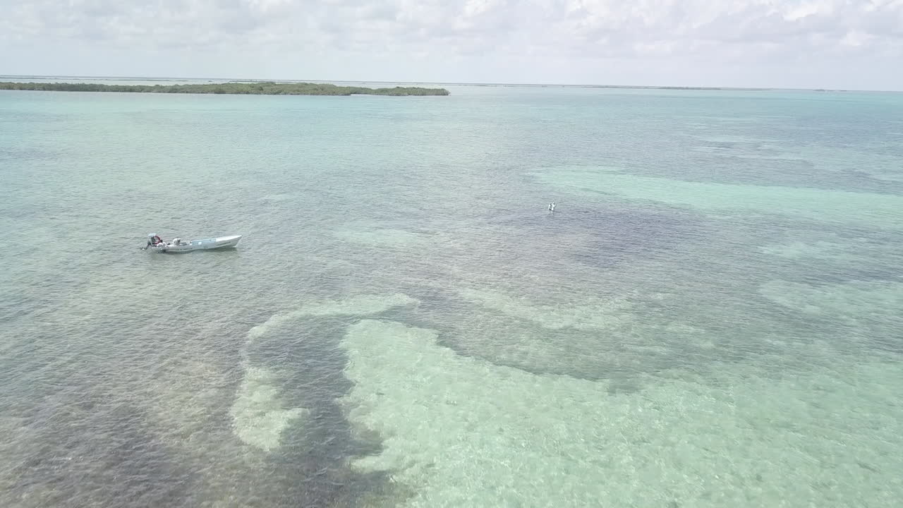 imágenes aéreas de drones de pesca con mosca en un barco panga en la bahía de ascensión, punta allen, méxico