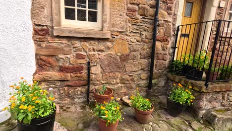 quaint buildings with colorful doors and plants