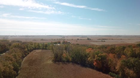 sobrevuelo de drones en aumento de un gran campo de maíz listo para ser cosechado rodeado de madera en el medio oeste, ee.uu.