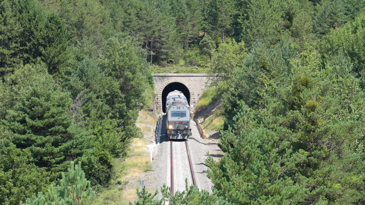 Treno che esce da un tunnel circondato da una foresta