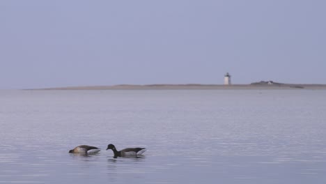 faro de cabo bacalao