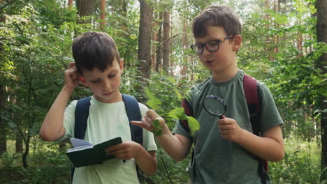 Kinder-Spielen-Und-Erkunden-Die-Umgebung