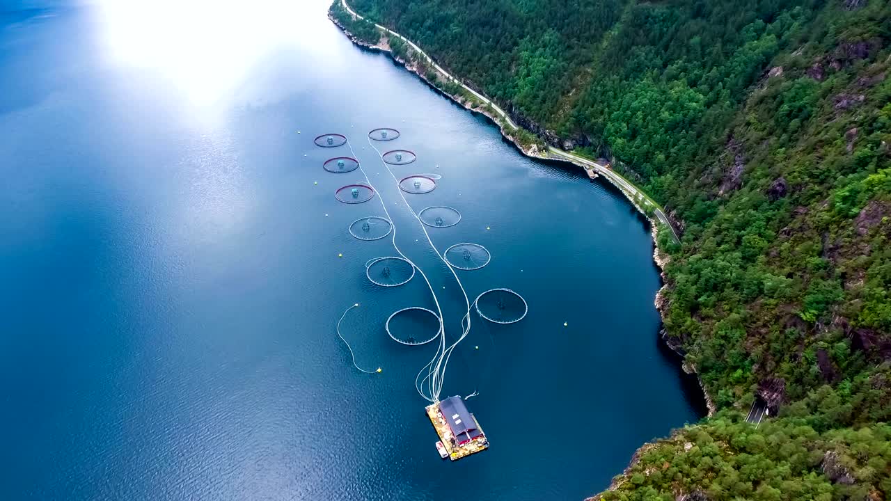 노르웨이에서 연어  ⁇ 시를 하는 공중 촬영