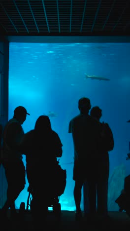 silhouettes of people watching fish in a large aquarium tank