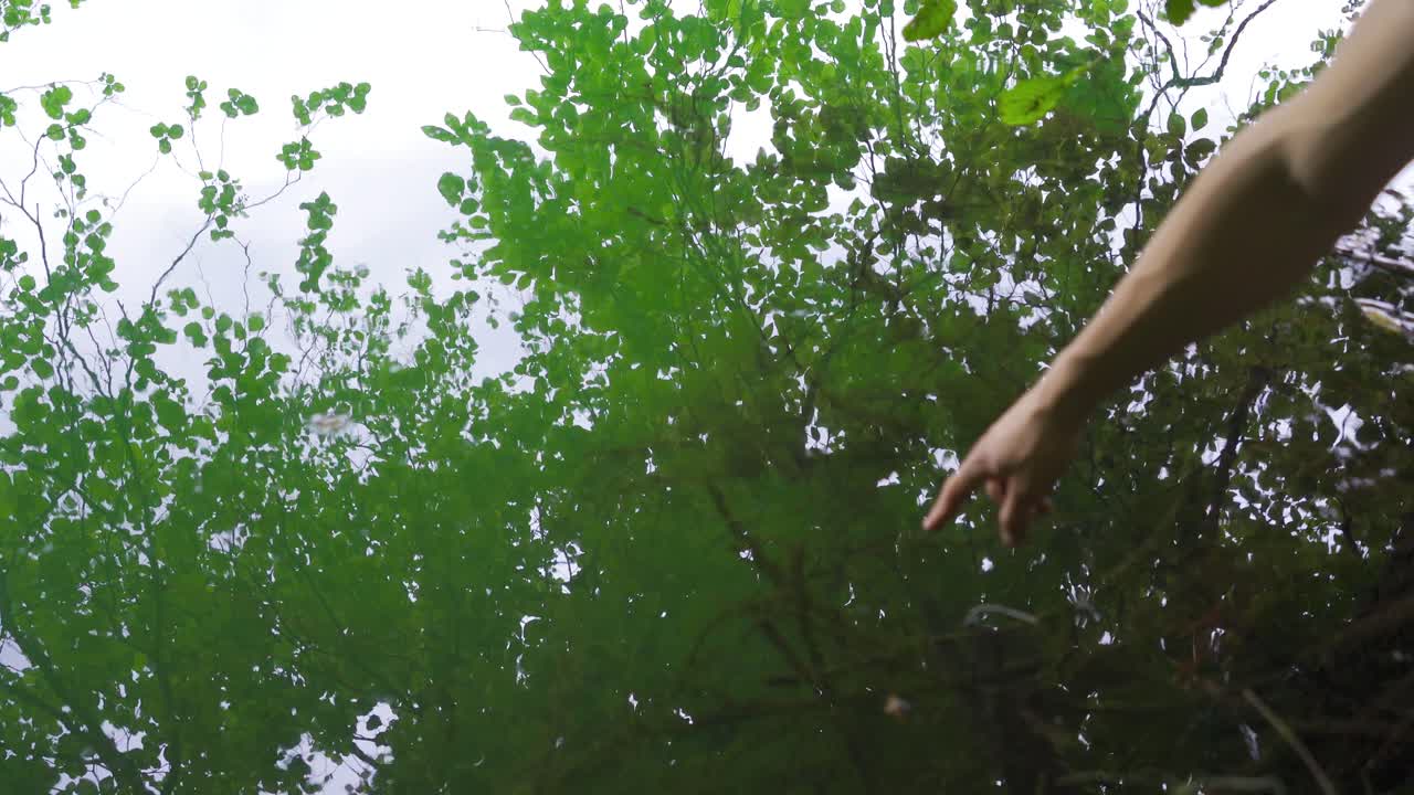 연못. 물을 만지는.