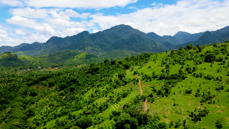 印尼西巴厘島國家公園的綠色山谷風景