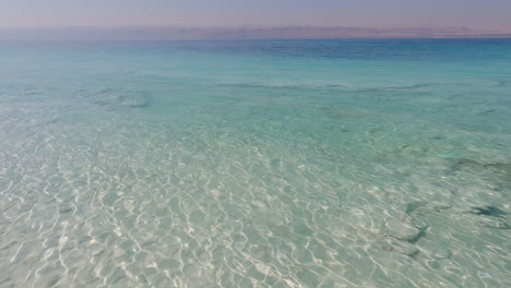 crystal clear turquoise green blue waters with light rays shimmering, dead sea