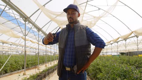 man talking on walky talky in blueberry farm 4k