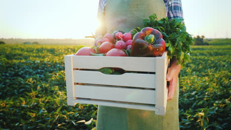 un joven agricultor sostiene una caja de madera con verduras de su campo en la imagen solo las manos