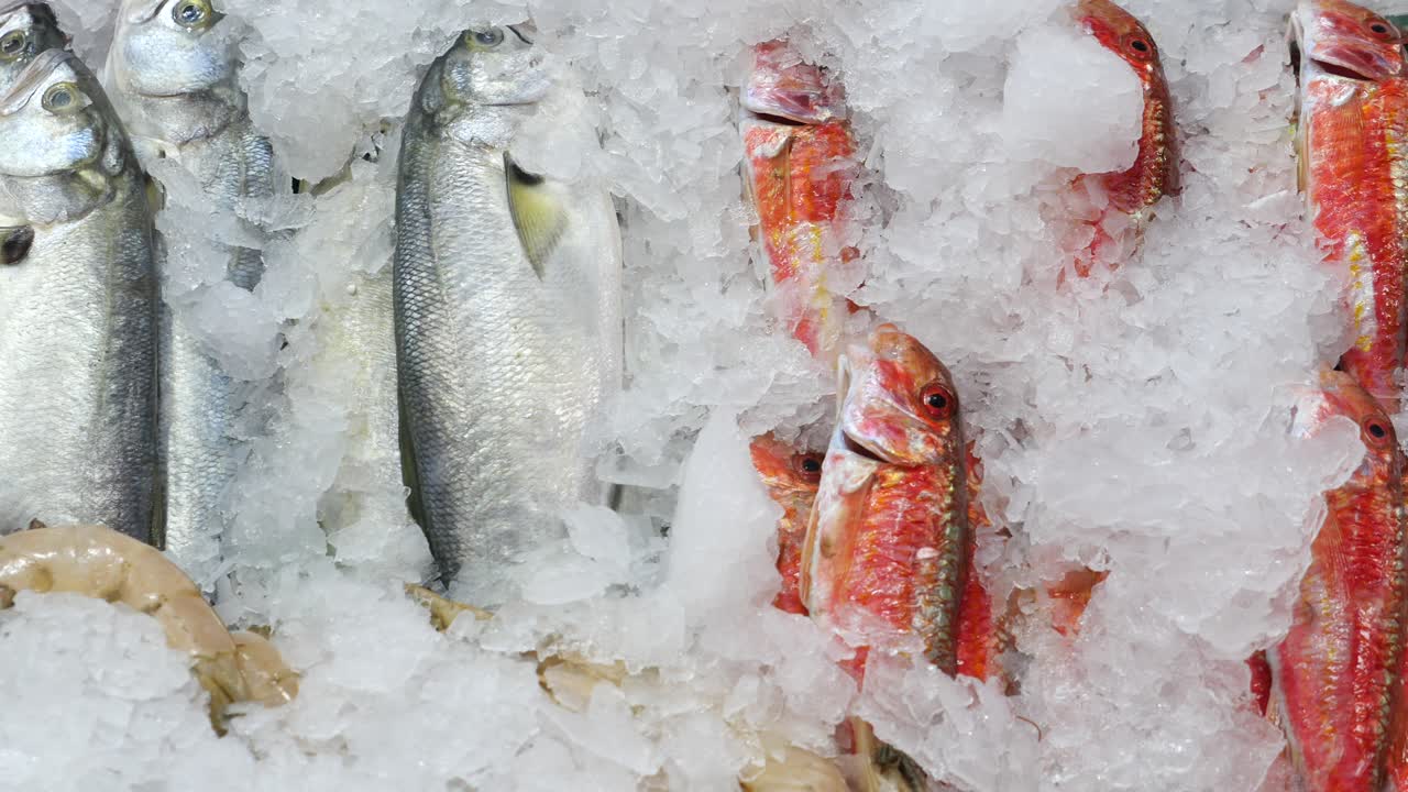 얼음 위의 신선한 생선