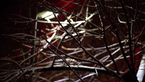 Eerie-view-of-street-lamp-lighting-leave-less-branches-as-snow-falls