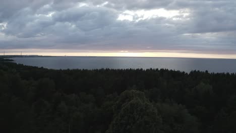 Drone-shot-of-seaside-and-beach-surrounded-by-dense-woods-on-a-sunny-day