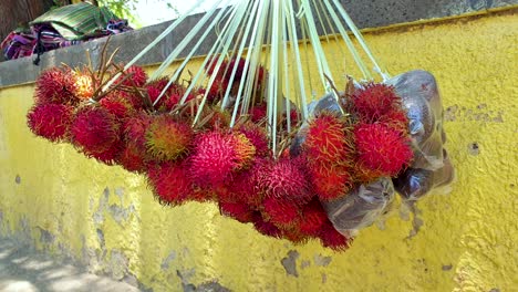 bunches of delicious ripe red rambutan tropical fruits for sale by street fruit and vegetable market vendor