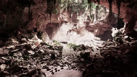 Vista-Desde-El-Interior-De-Una-Cueva-Oscura