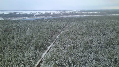 Aerial-view-of-a-frozen-pine-tree-forest-with-snow-covered-trees-in-winter