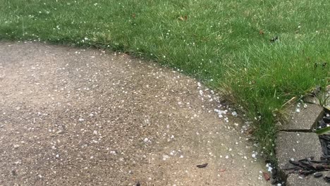 hail during rainstorm on a sidewalk near grass, close up