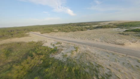 Low-vegetation-and-forest-near-Soustons-in-Landes-department,-Nouvelle-Aquitaine-in-France