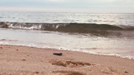 Blick-Von-Unten-Auf-Das-Meer