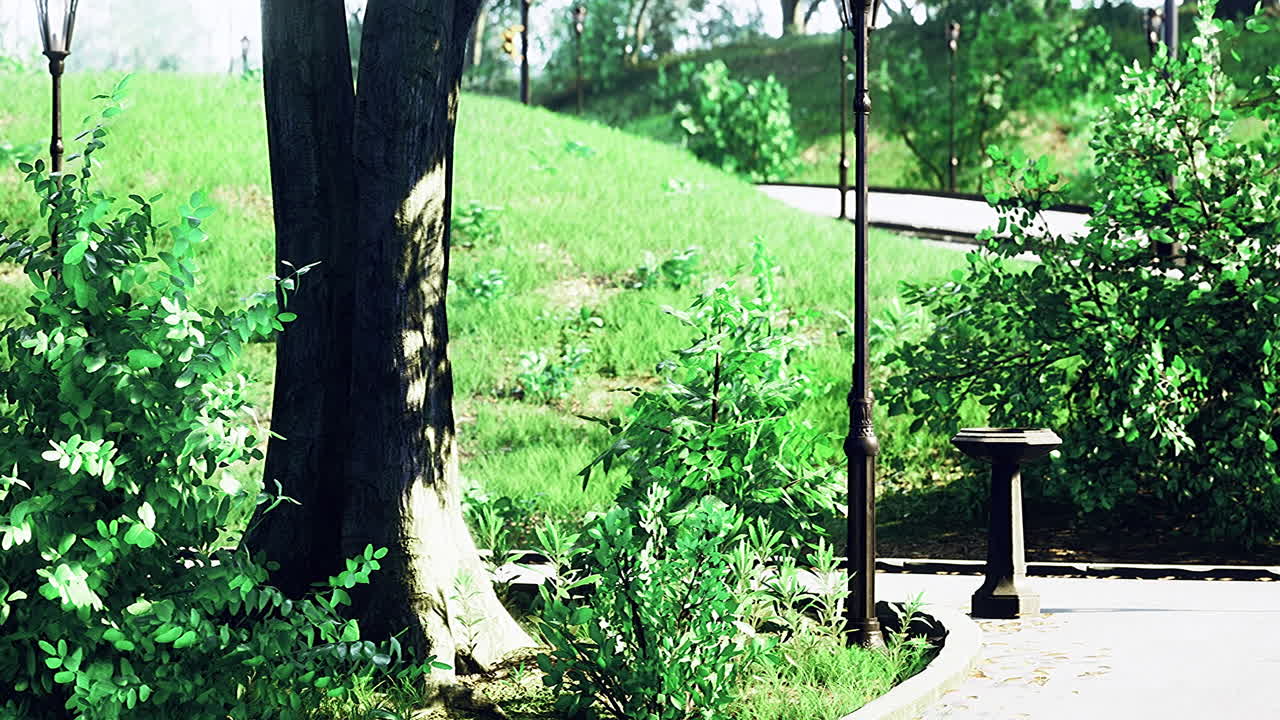 Vibrant park scenery showing greenery paths and lampposts in bright sunlight