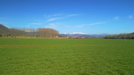 perfect cultivated green field as background snowy mountains