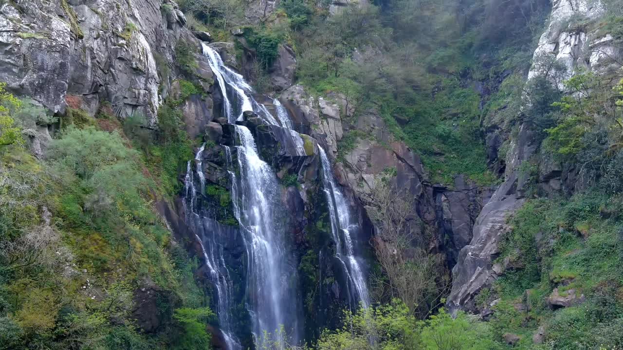 la antena se eleva detrás del árbol para revelar las cascadas de fervenza do toxa que caen en cascada por la pared rocosa