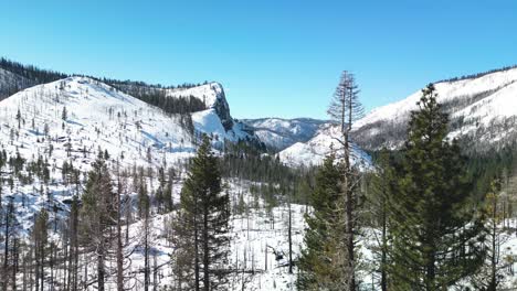 Aerial-view-amongst-forest-trees-and-winding-river-of-El-Dorado-National-Forest-wildernesss,-California