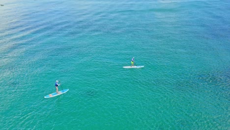 pareja en sup board remando sobre aguas turquesas de república dominicana