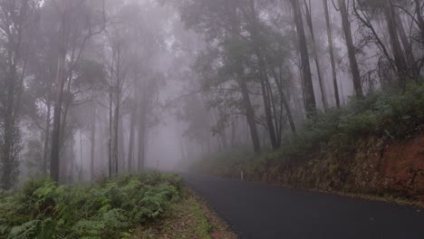 road through geehi in cloud, alpine way, kosciuszko national park