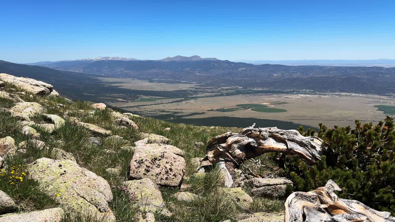 Buena Vista town Salida Mt Mount Princeton hiking trail 14er spring summertime Colorado Sawatch Range Arkansas River Rocky Mountains blue clear sky morning windy breeze Juniper deadwood motion right